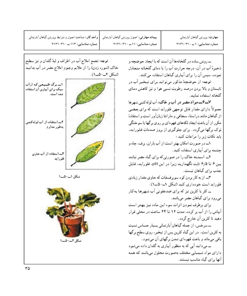 نگهداری و پرورش گلهای اپارتمانی - نمونه دوم - جزیره کتاب های الکترونیکی